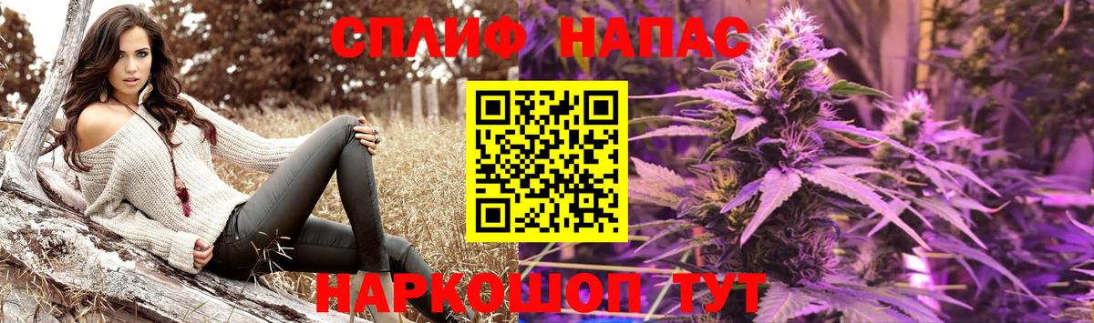 Каннабис гибрид Волжский